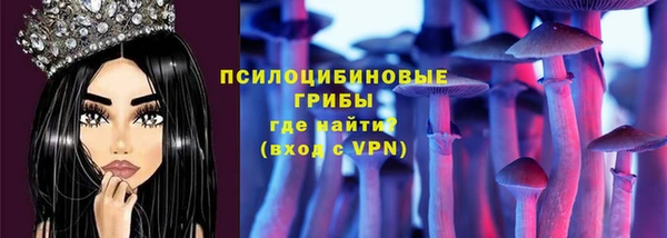 спиды Аркадак