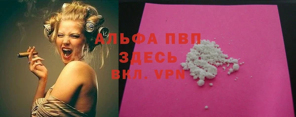 сатива Армянск