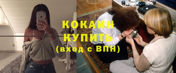 сатива Армянск