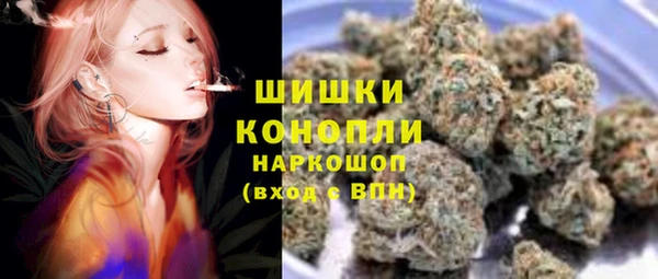 сатива Армянск