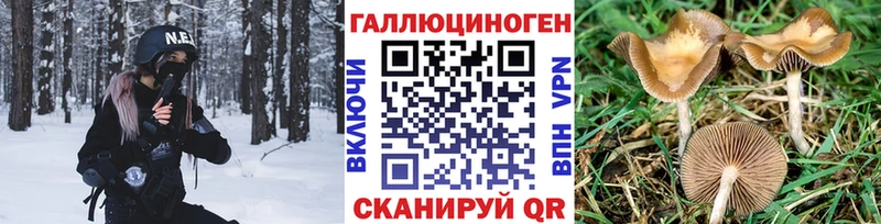 Псилоцибиновые грибы Cubensis  KRAKEN вход  Арск 